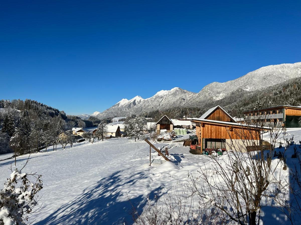 Haus Romsicht Karinthie Villa Kerschdorf ภายนอก รูปภาพ